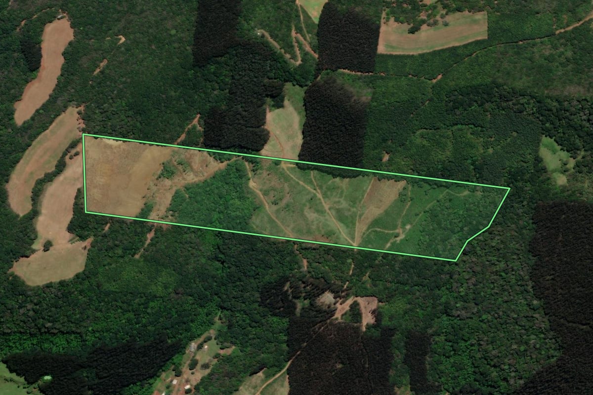 Imagem de satélite do imóvel rural em Arroio Trinta (SC), com o contorno declarado no CAR desenhado por cima.