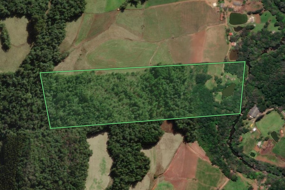 Imagem de satélite do imóvel rural em Arroio Trinta (SC), com o contorno declarado no CAR desenhado por cima.