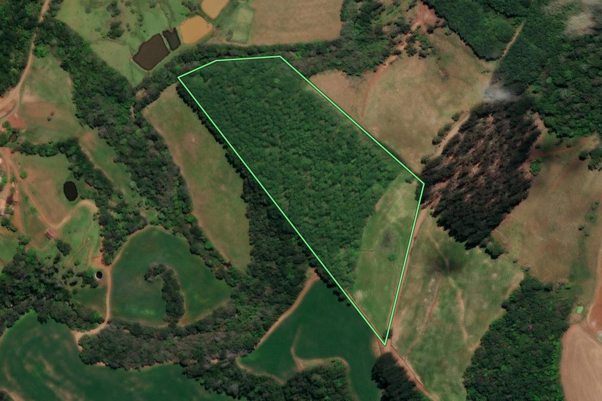 Imagem de satélite do imóvel rural em Arroio Trinta (SC), com o contorno declarado no CAR desenhado por cima.
