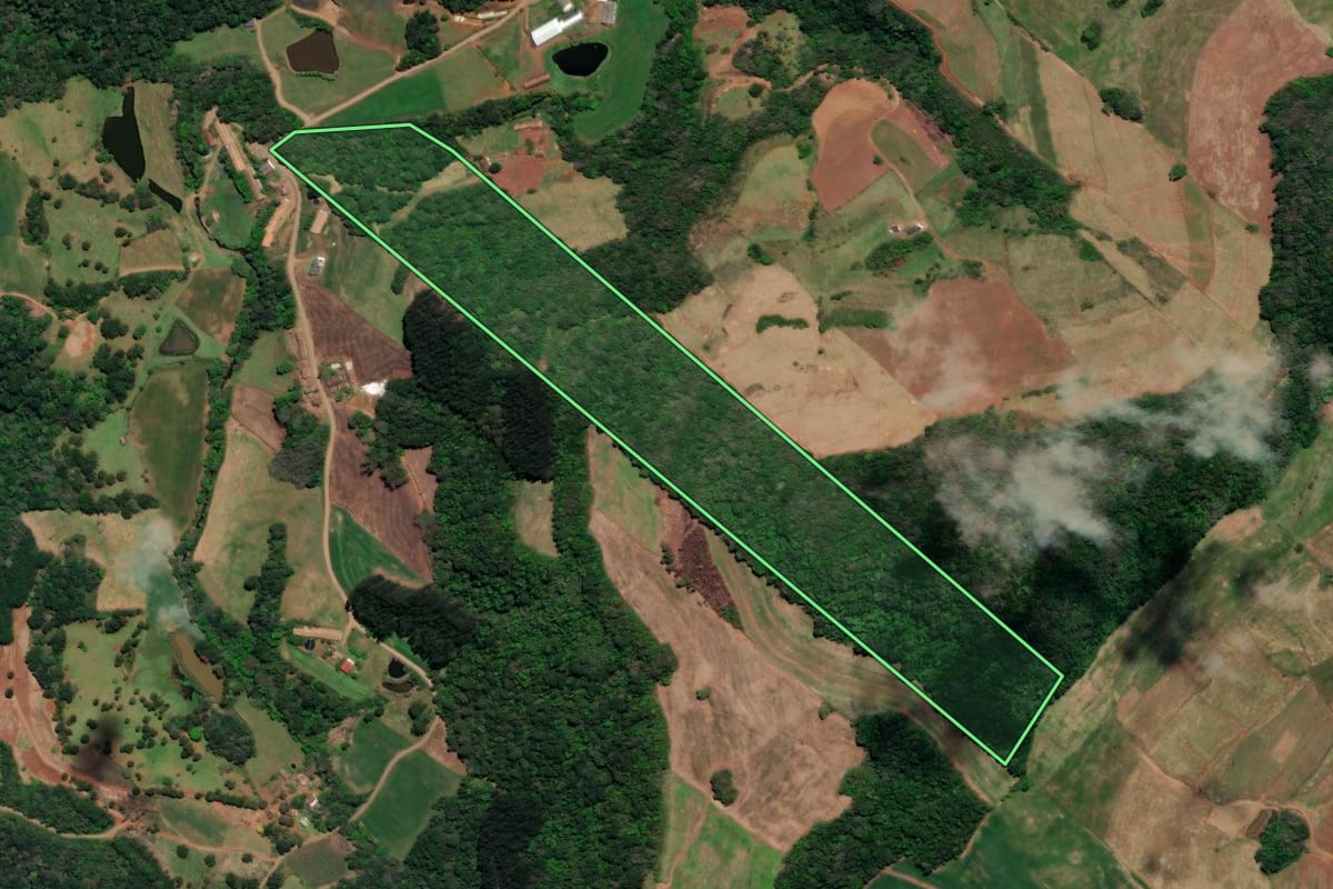Imagem de satélite do imóvel rural em Arroio Trinta (SC), com o contorno declarado no CAR desenhado por cima.