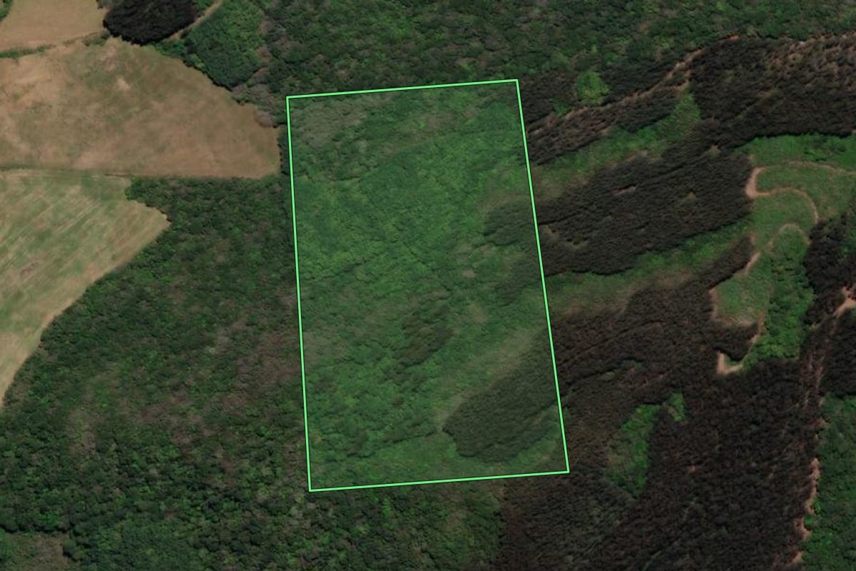 Imagem de satélite do imóvel rural em Arroio Trinta (SC), com o contorno declarado no CAR desenhado por cima.
