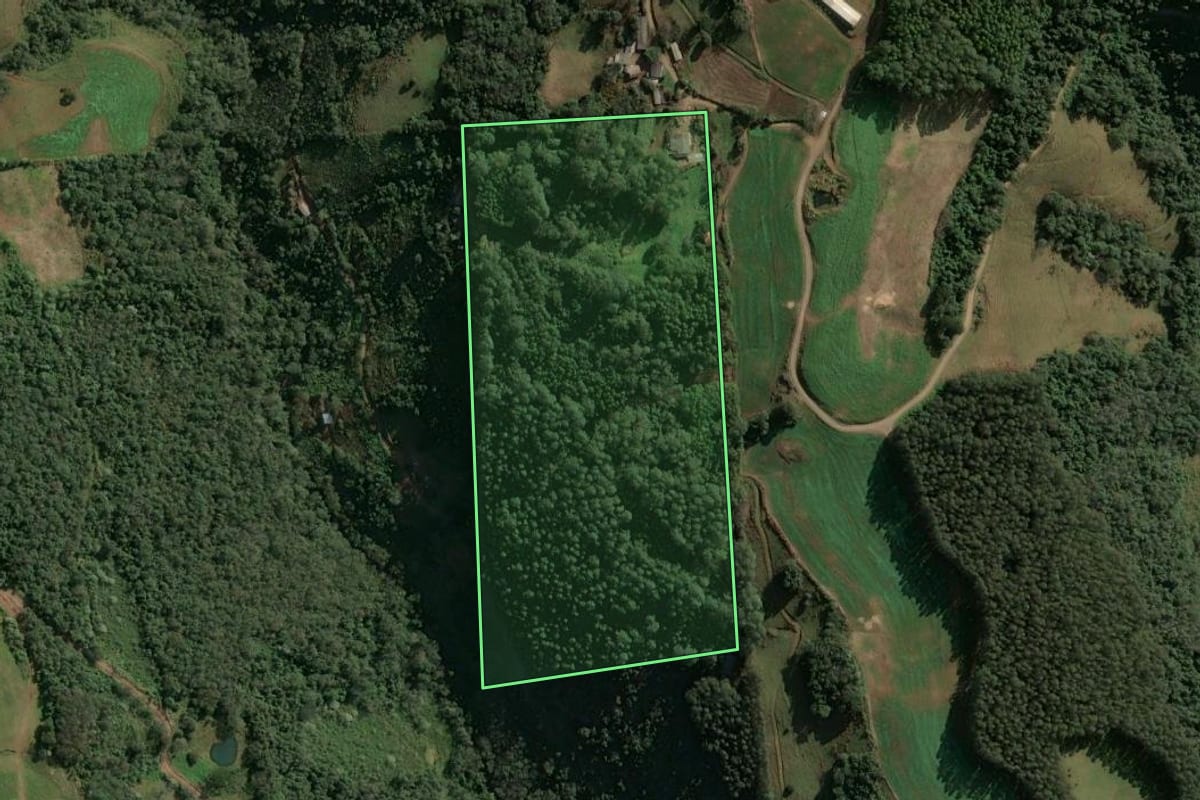 Imagem de satélite do imóvel rural em Arvoredo (SC), com o contorno declarado no CAR desenhado por cima.