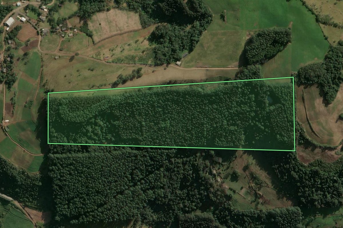 Imagem de satélite do imóvel rural em Arvoredo (SC), com o contorno declarado no CAR desenhado por cima.