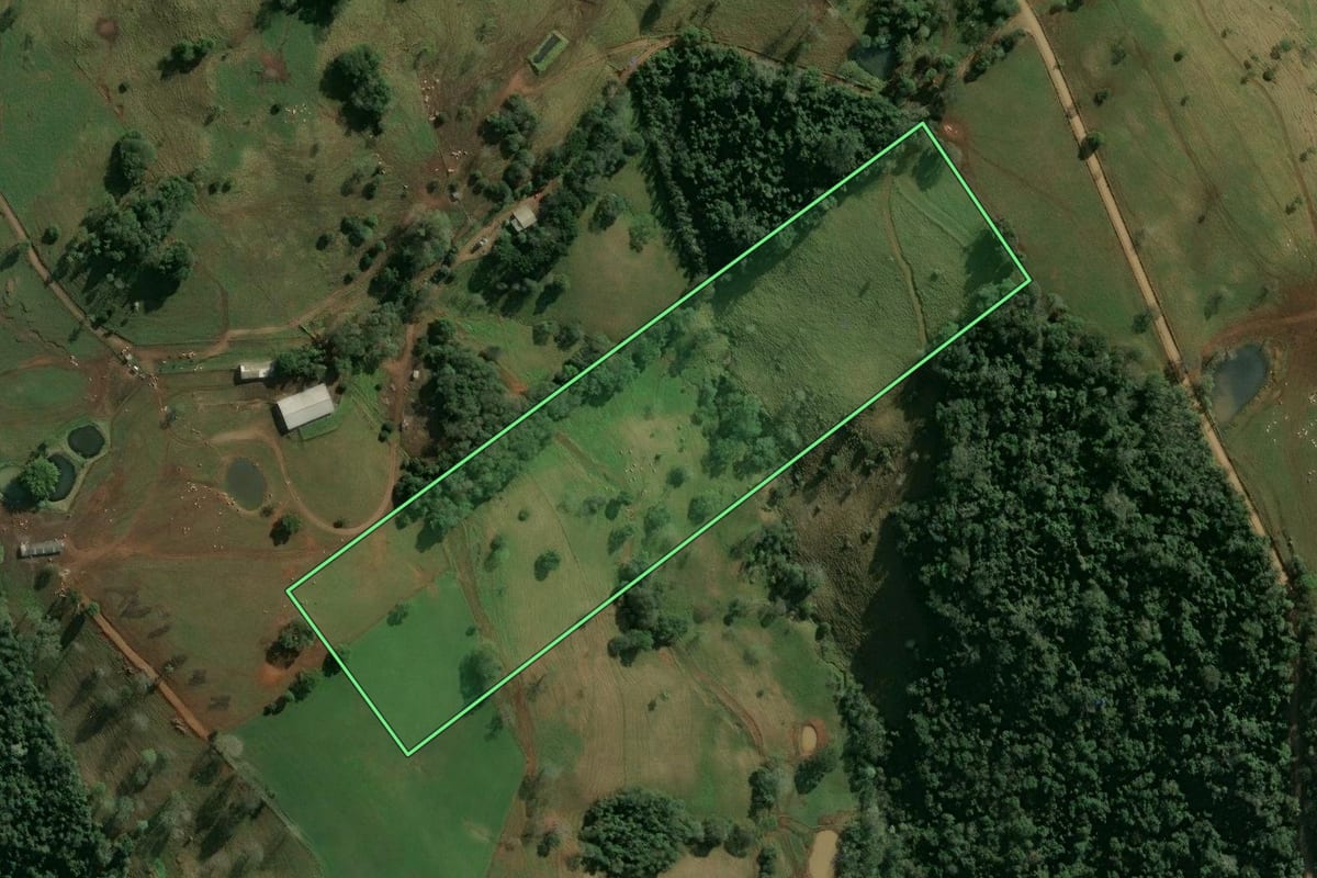Imagem de satélite do imóvel rural em Arvoredo (SC), com o contorno declarado no CAR desenhado por cima.