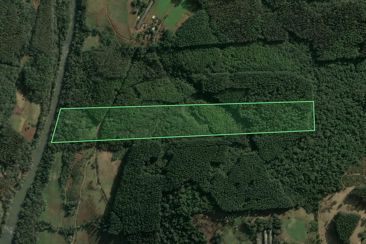 Imagem de satélite do imóvel rural em Arvoredo (SC), com o contorno declarado no CAR desenhado por cima.