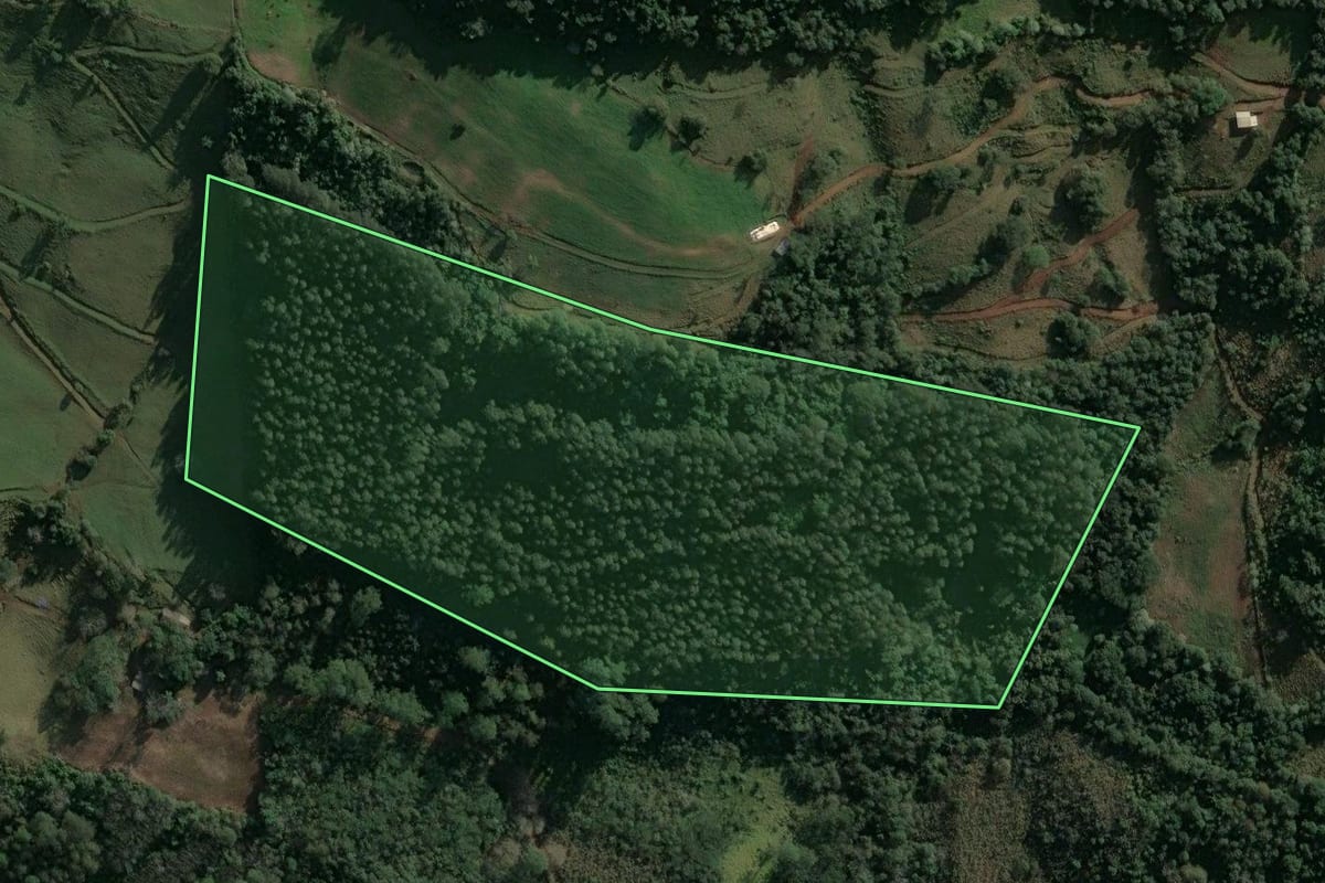 Imagem de satélite do imóvel rural em Arvoredo (SC), com o contorno declarado no CAR desenhado por cima.