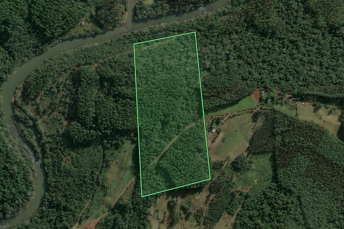 Imagem de satélite do imóvel rural em Arvoredo (SC), com o contorno declarado no CAR desenhado por cima.