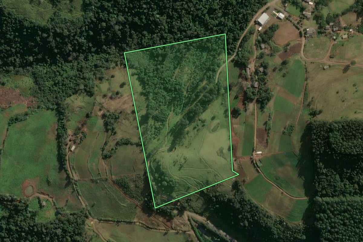 Imagem de satélite do imóvel rural em Arvoredo (SC), com o contorno declarado no CAR desenhado por cima.