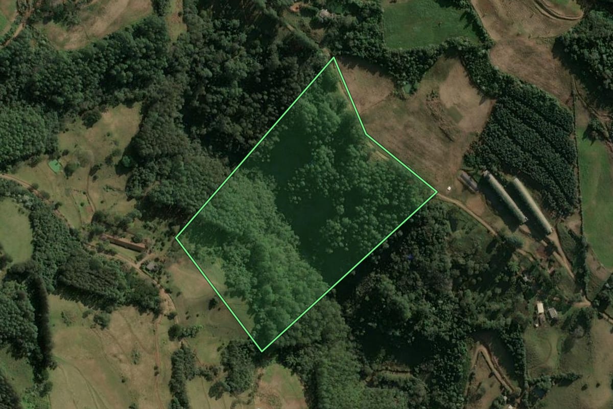 Imagem de satélite do imóvel rural em Arvoredo (SC), com o contorno declarado no CAR desenhado por cima.