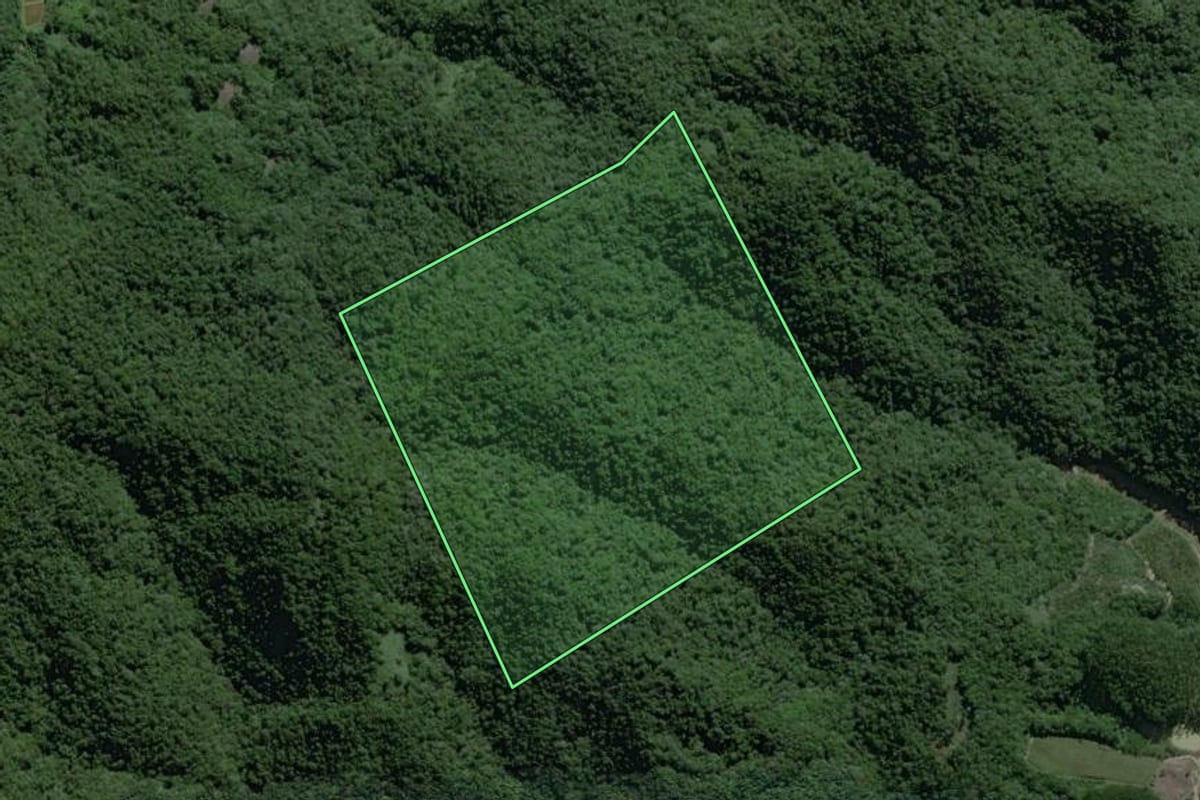 Imagem de satélite do imóvel rural em Ascurra (SC), com o contorno declarado no CAR desenhado por cima.