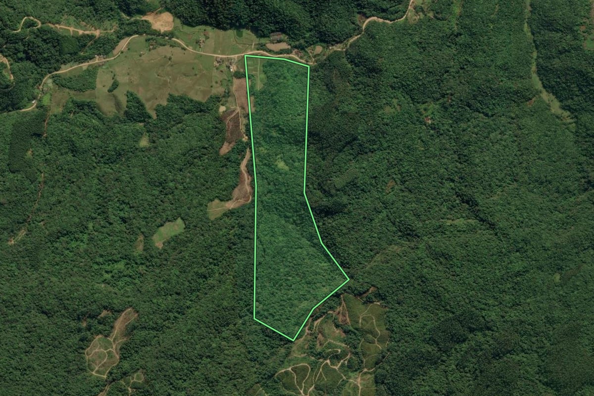 Imagem de satélite do imóvel rural em Ascurra (SC), com o contorno declarado no CAR desenhado por cima.