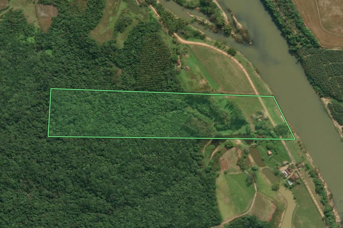 Imagem de satélite do imóvel rural em Ascurra (SC), com o contorno declarado no CAR desenhado por cima.