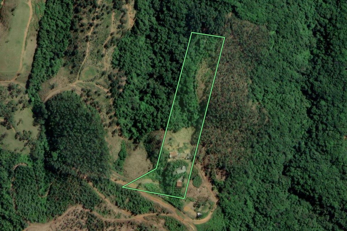 Imagem de satélite do imóvel rural em Ascurra (SC), com o contorno declarado no CAR desenhado por cima.