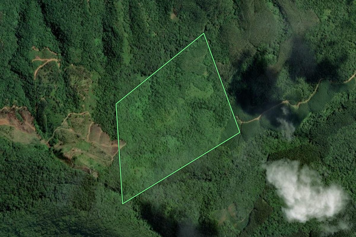 Imagem de satélite do imóvel rural em Ascurra (SC), com o contorno declarado no CAR desenhado por cima.