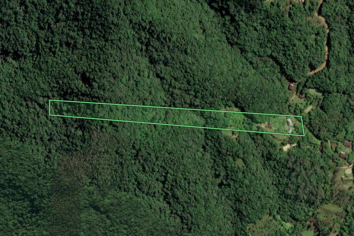 Imagem de satélite do imóvel rural em Ascurra (SC), com o contorno declarado no CAR desenhado por cima.