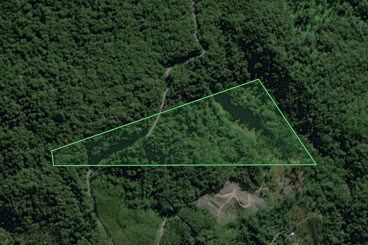 Imagem de satélite do imóvel rural em Ascurra (SC), com o contorno declarado no CAR desenhado por cima.