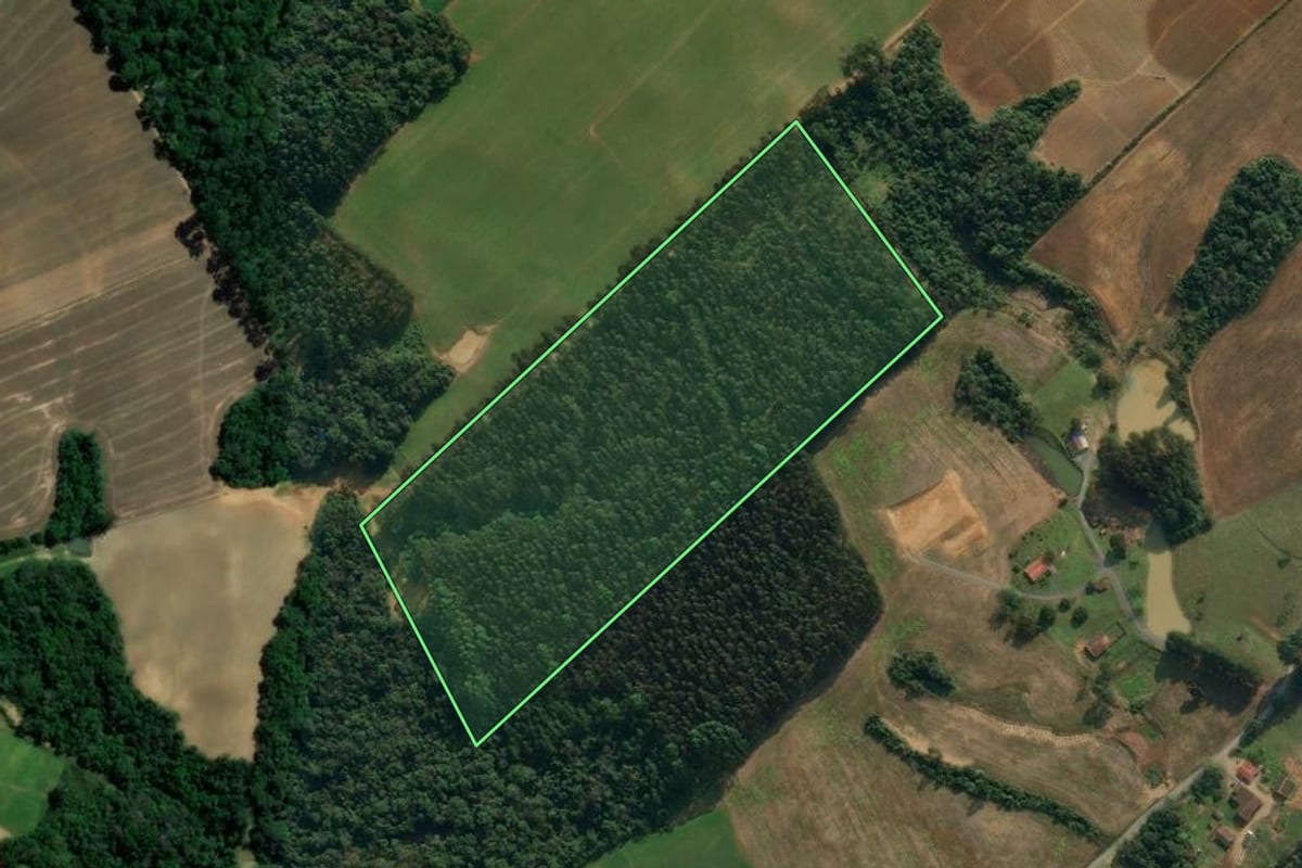 Imagem de satélite do imóvel rural em Atalanta (SC), com o contorno declarado no CAR desenhado por cima.