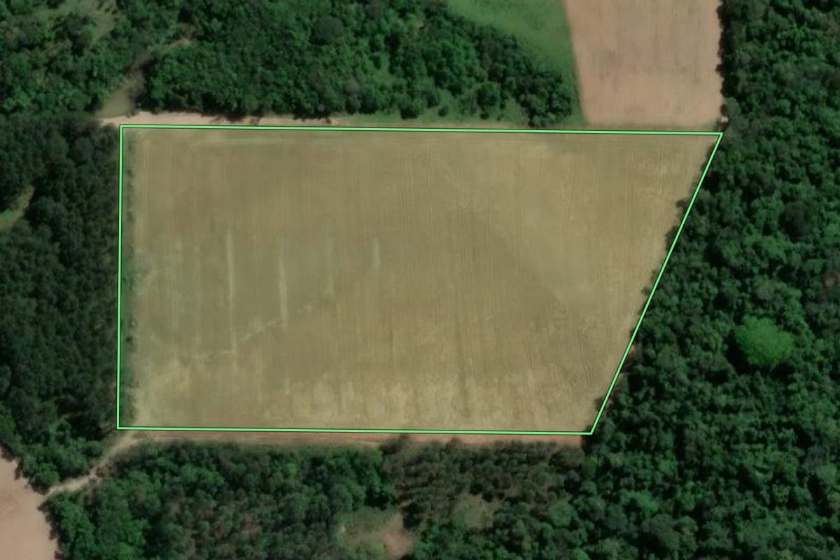Imagem de satélite do imóvel rural em Atalanta (SC), com o contorno declarado no CAR desenhado por cima.