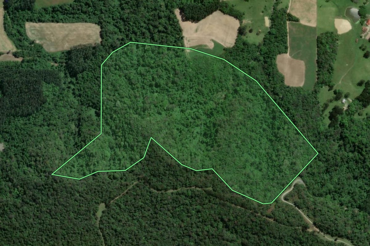 Imagem de satélite do imóvel rural em Atalanta (SC), com o contorno declarado no CAR desenhado por cima.