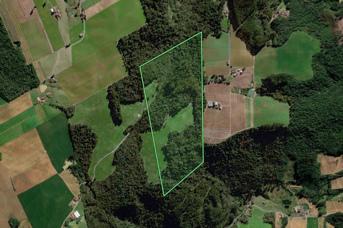 Imagem de satélite do imóvel rural em Atalanta (SC), com o contorno declarado no CAR desenhado por cima.