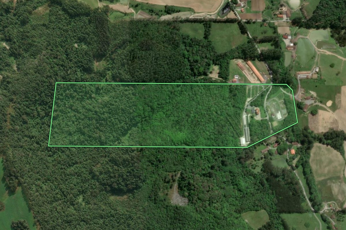 Imagem de satélite do imóvel rural em Atalanta (SC), com o contorno declarado no CAR desenhado por cima.