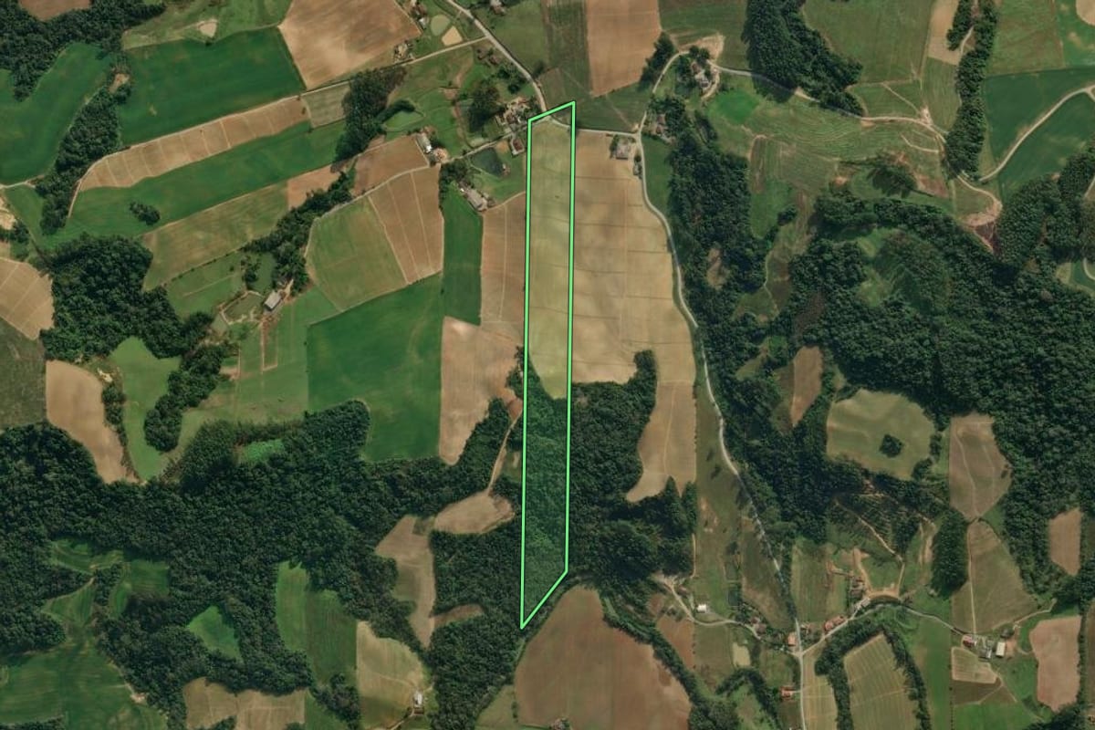 Imagem de satélite do imóvel rural em Atalanta (SC), com o contorno declarado no CAR desenhado por cima.