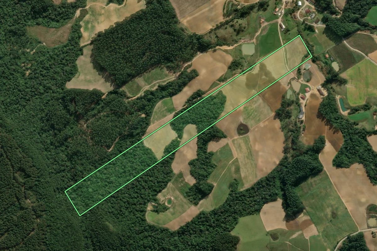 Imagem de satélite do imóvel rural em Aurora (SC), com o contorno declarado no CAR desenhado por cima.