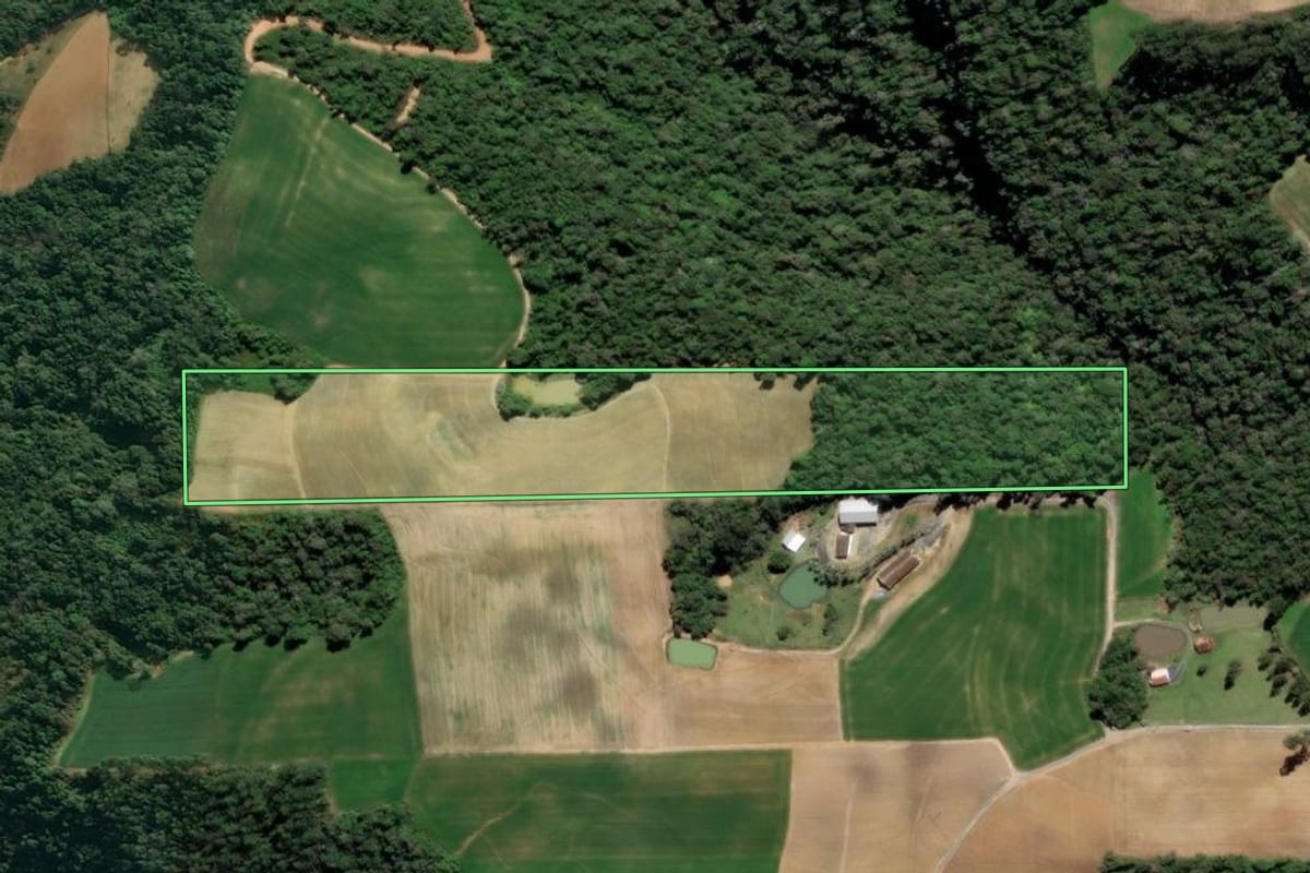 Imagem de satélite do imóvel rural em Aurora (SC), com o contorno declarado no CAR desenhado por cima.