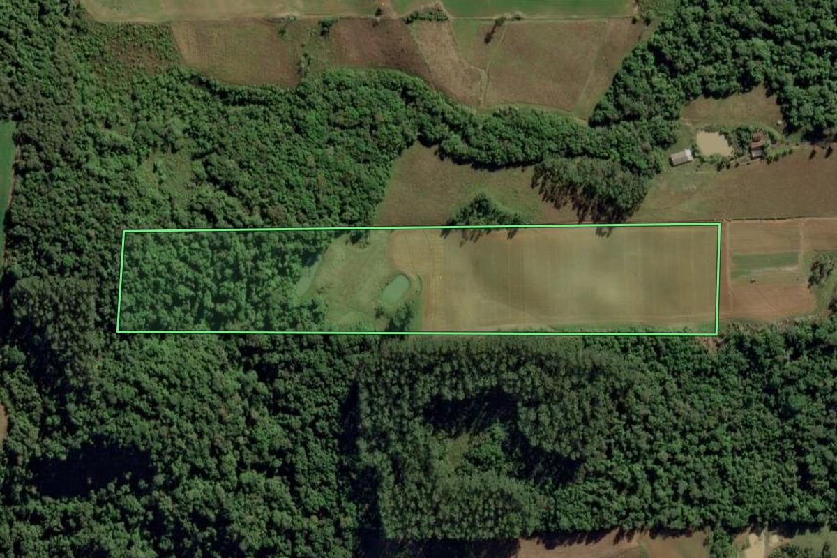 Imagem de satélite do imóvel rural em Aurora (SC), com o contorno declarado no CAR desenhado por cima.