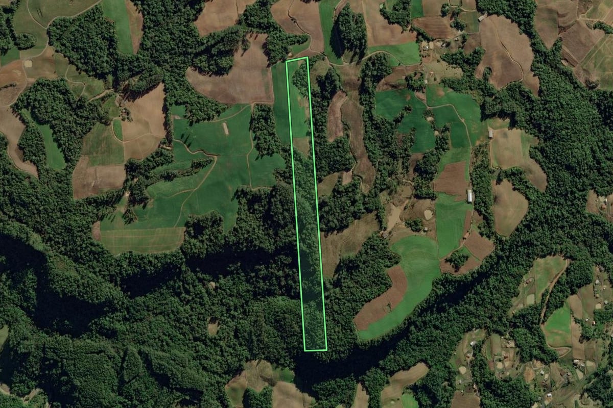 Imagem de satélite do imóvel rural em Aurora (SC), com o contorno declarado no CAR desenhado por cima.