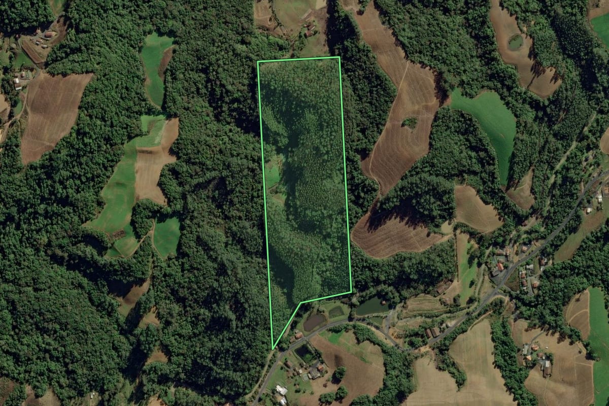 Imagem de satélite do imóvel rural em Aurora (SC), com o contorno declarado no CAR desenhado por cima.