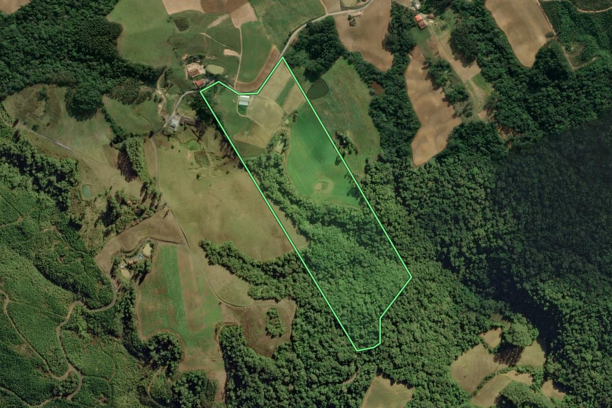 Imagem de satélite do imóvel rural em Aurora (SC), com o contorno declarado no CAR desenhado por cima.