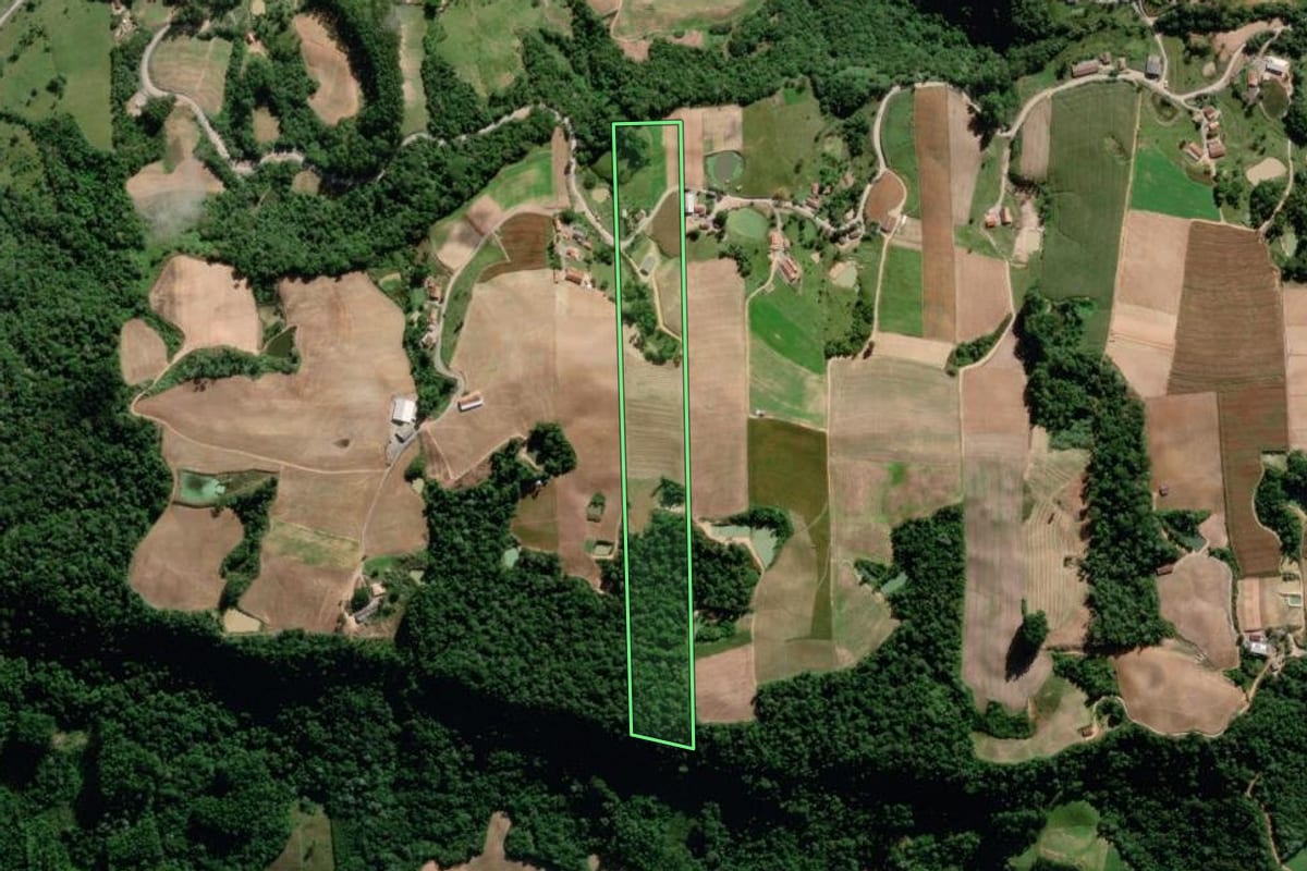 Imagem de satélite do imóvel rural em Aurora (SC), com o contorno declarado no CAR desenhado por cima.