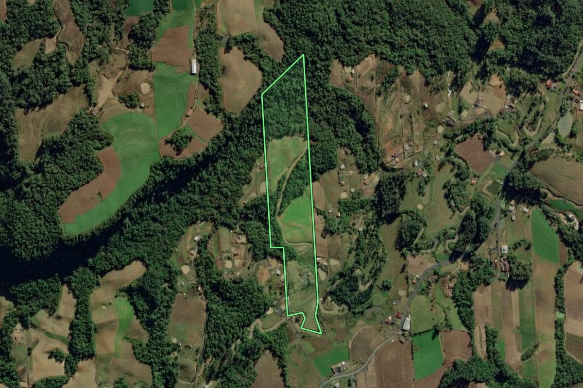 Imagem de satélite do imóvel rural em Aurora (SC), com o contorno declarado no CAR desenhado por cima.
