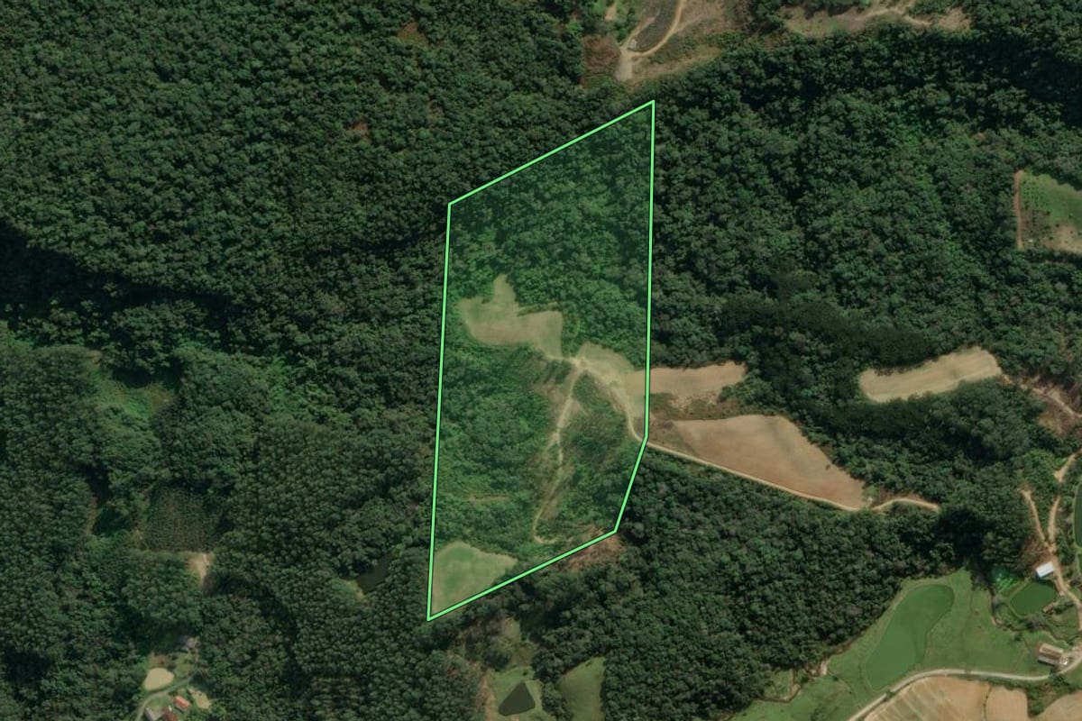 Imagem de satélite do imóvel rural em Aurora (SC), com o contorno declarado no CAR desenhado por cima.