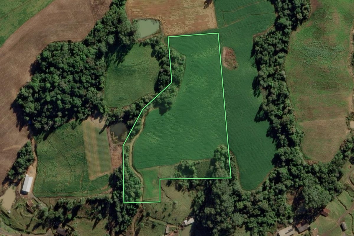 Imagem de satélite do imóvel rural em Aurora (SC), com o contorno declarado no CAR desenhado por cima.