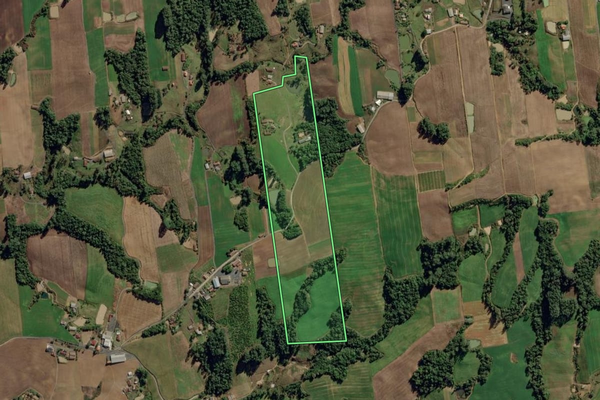 Imagem de satélite do imóvel rural em Aurora (SC), com o contorno declarado no CAR desenhado por cima.