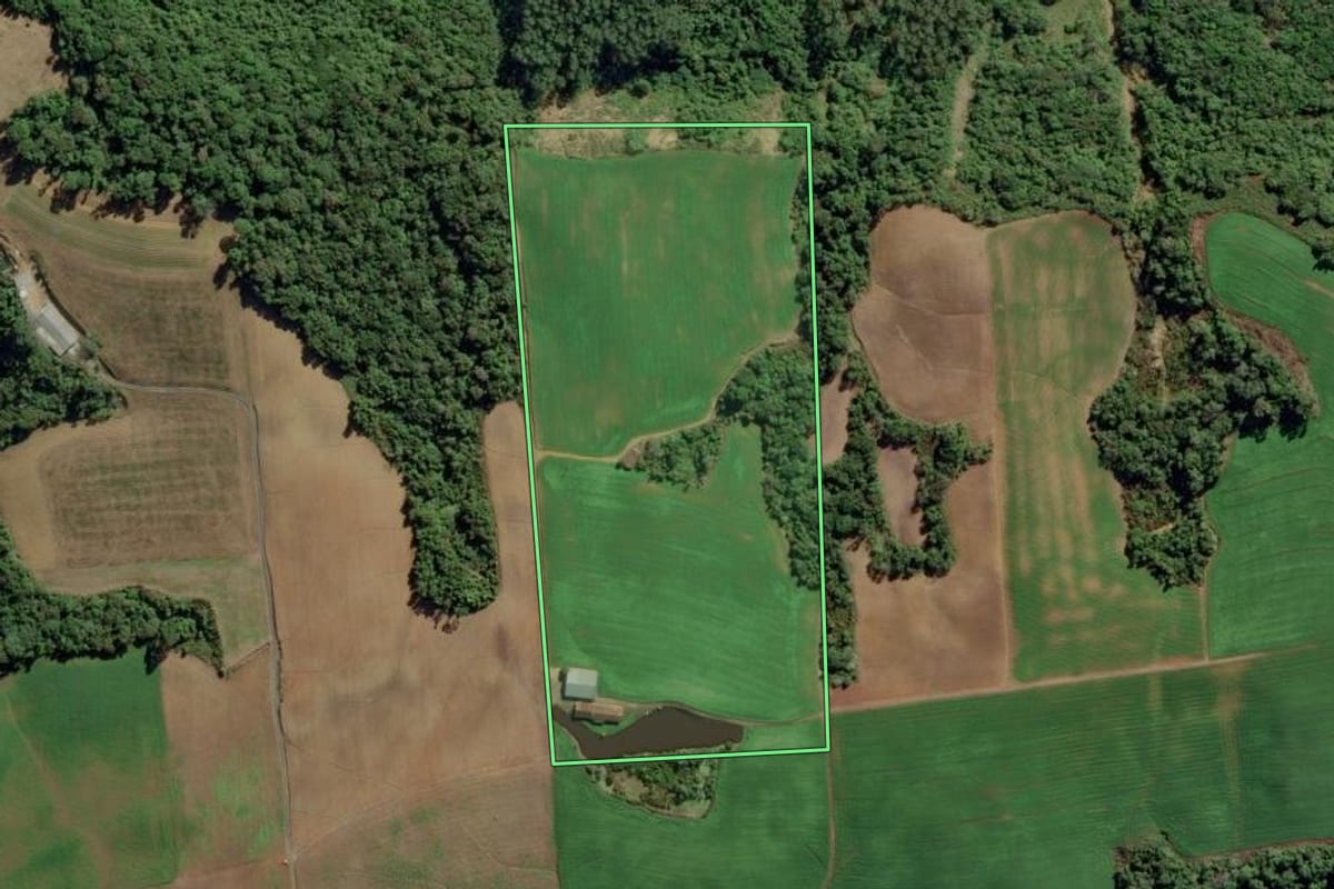 Imagem de satélite do imóvel rural em Aurora (SC), com o contorno declarado no CAR desenhado por cima.