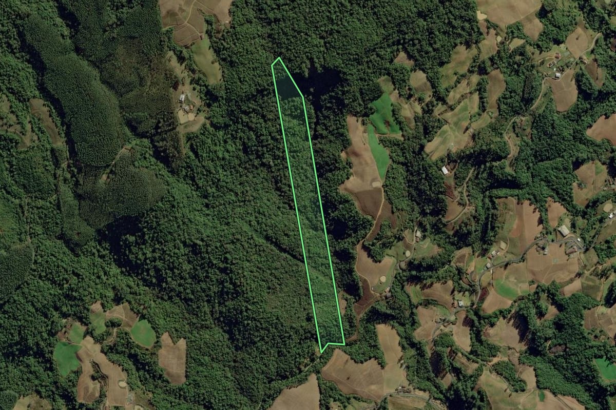 Imagem de satélite do imóvel rural em Aurora (SC), com o contorno declarado no CAR desenhado por cima.