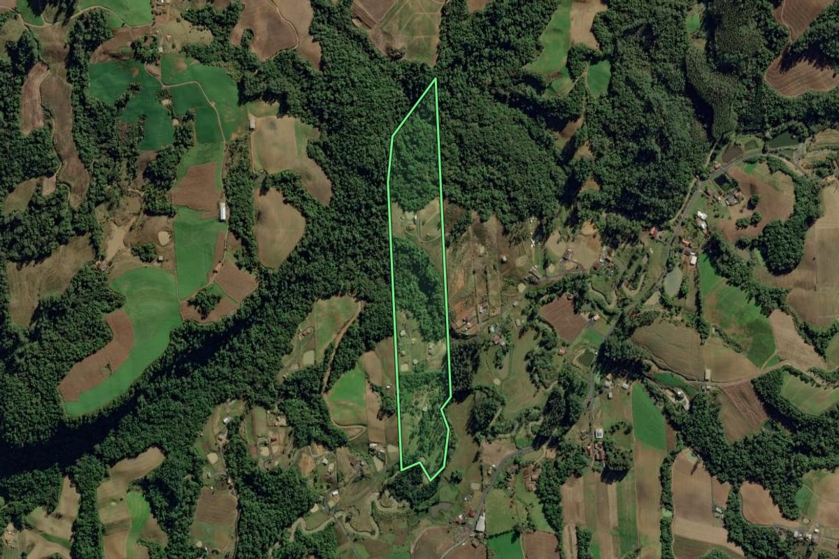 Imagem de satélite do imóvel rural em Aurora (SC), com o contorno declarado no CAR desenhado por cima.