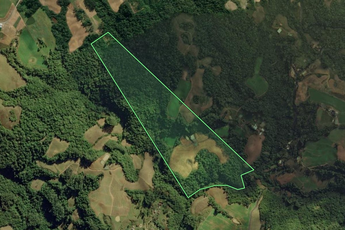 Imagem de satélite do imóvel rural em Aurora (SC), com o contorno declarado no CAR desenhado por cima.