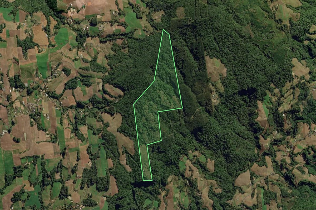 Imagem de satélite do imóvel rural em Aurora (SC), com o contorno declarado no CAR desenhado por cima.