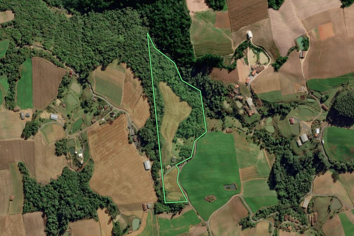 Imagem de satélite do imóvel rural em Aurora (SC), com o contorno declarado no CAR desenhado por cima.
