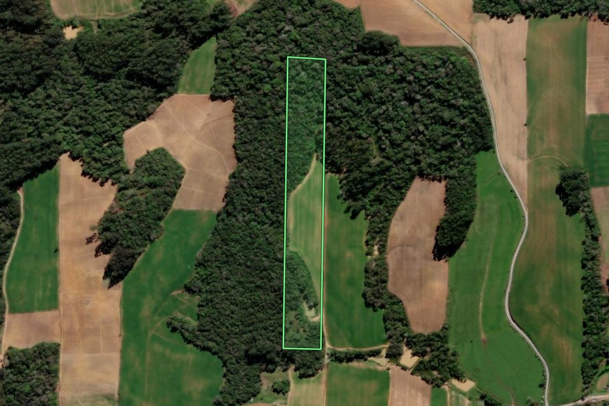 Imagem de satélite do imóvel rural em Aurora (SC), com o contorno declarado no CAR desenhado por cima.