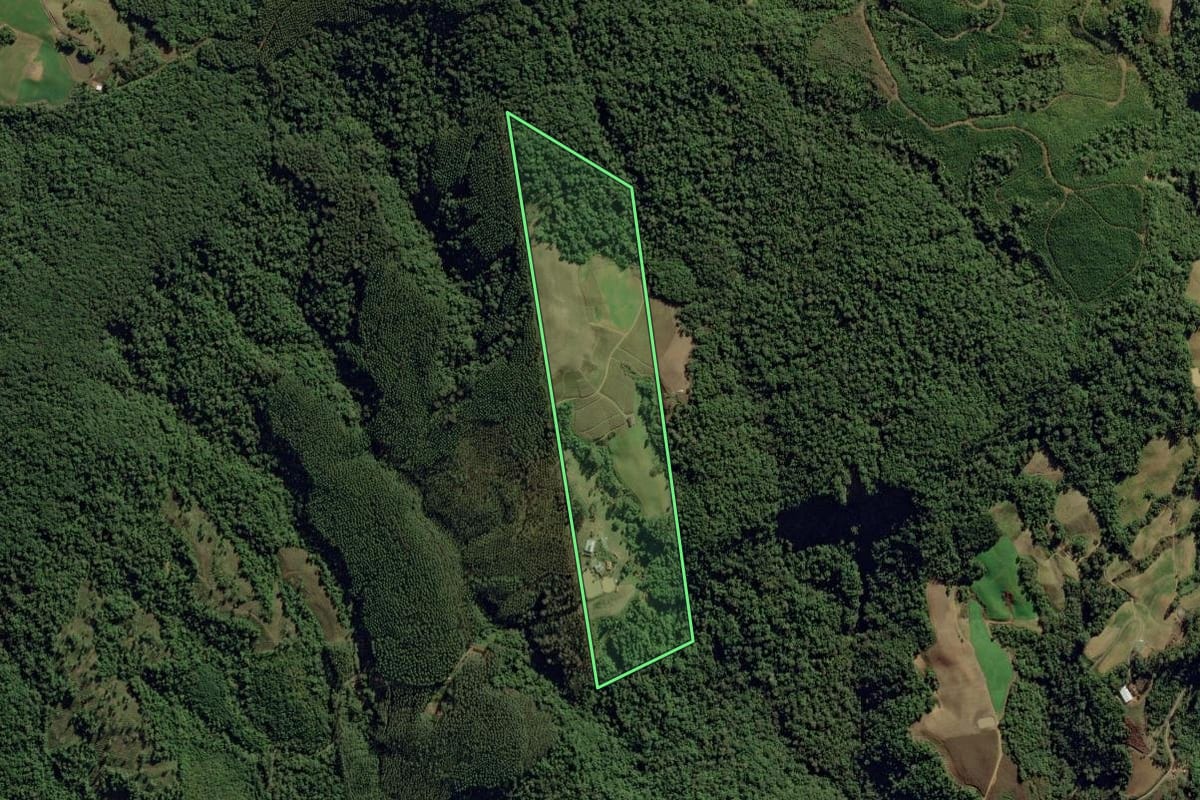 Imagem de satélite do imóvel rural em Aurora (SC), com o contorno declarado no CAR desenhado por cima.
