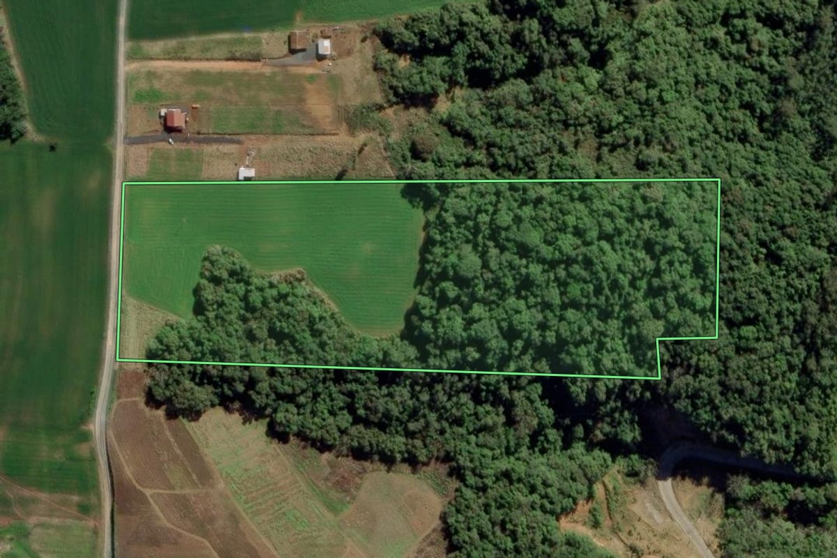 Imagem de satélite do imóvel rural em Aurora (SC), com o contorno declarado no CAR desenhado por cima.