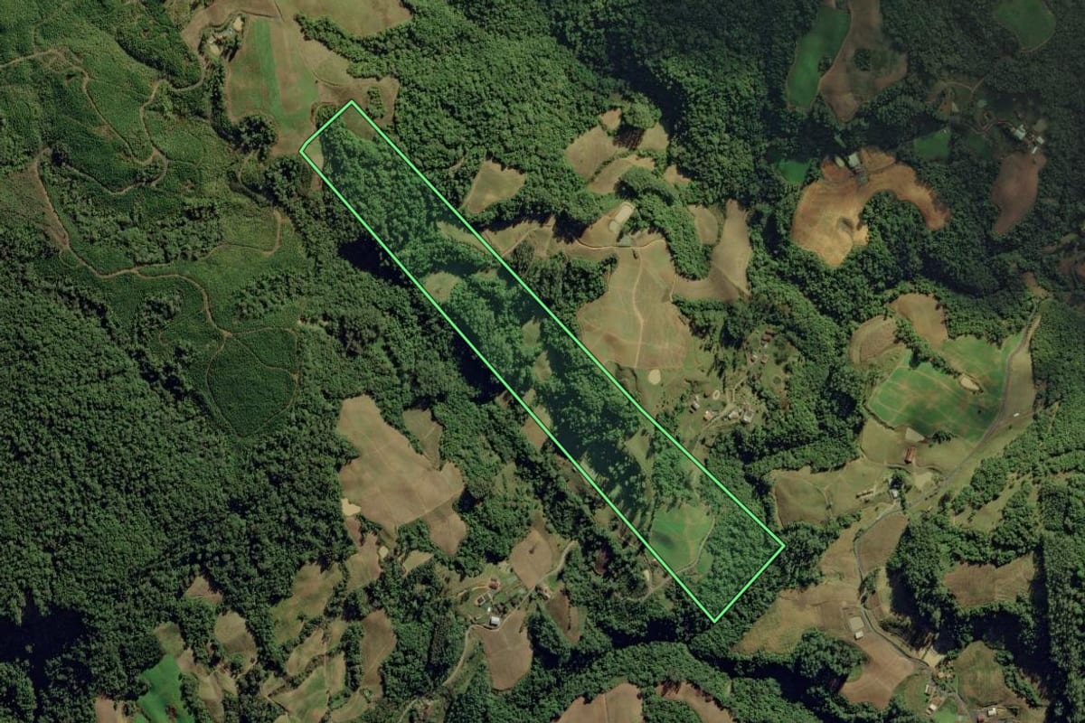 Imagem de satélite do imóvel rural em Aurora (SC), com o contorno declarado no CAR desenhado por cima.