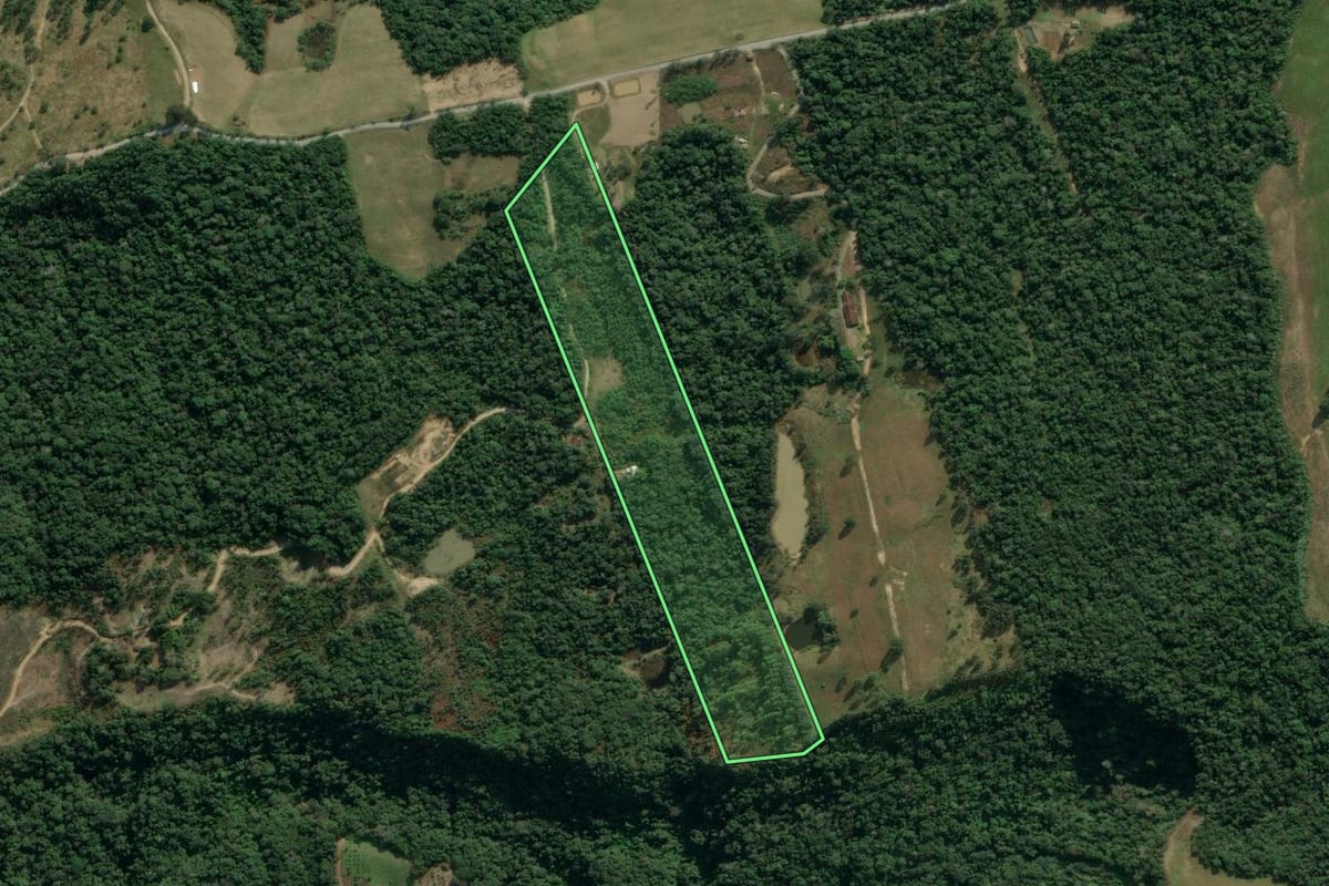 Imagem de satélite do imóvel rural em Aurora (SC), com o contorno declarado no CAR desenhado por cima.