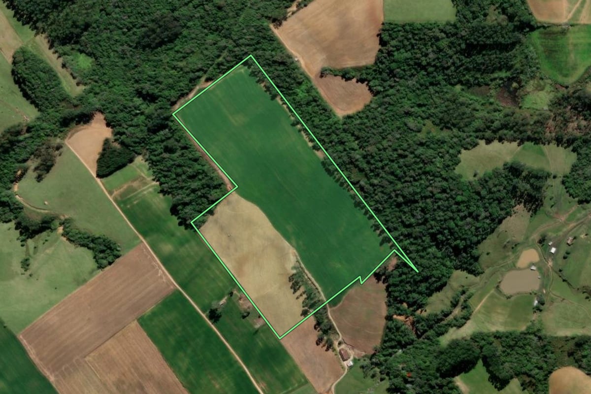 Imagem de satélite do imóvel rural em Aurora (SC), com o contorno declarado no CAR desenhado por cima.