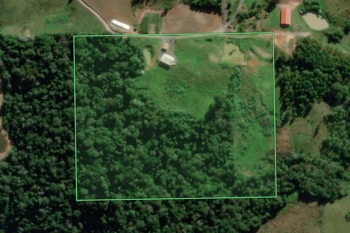 Imagem de satélite do imóvel rural em Aurora (SC), com o contorno declarado no CAR desenhado por cima.